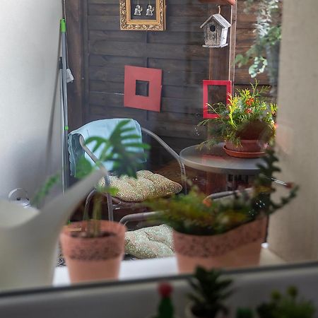 Apartament U Olechny 4 Bydgoszcz Bagian luar foto